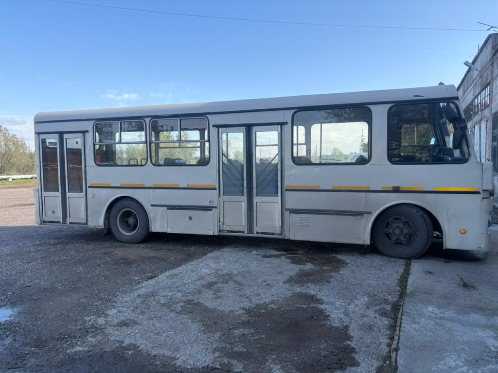 309421-Автобус АЛЬТЕРНА- 4216 1996 года выпуска