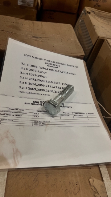 293053-БОЛТ М20-6G*75.СТ3.88.099(S30) ГОСТ7798