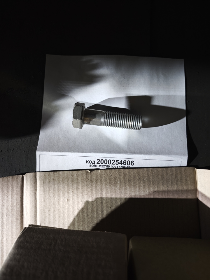 БОЛТ М22*80 ГОСТ7798-70