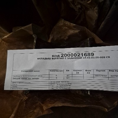 ВКЛАДЫШ С ЗАЛИВКОЙ 34.03.03.00-009 СБ