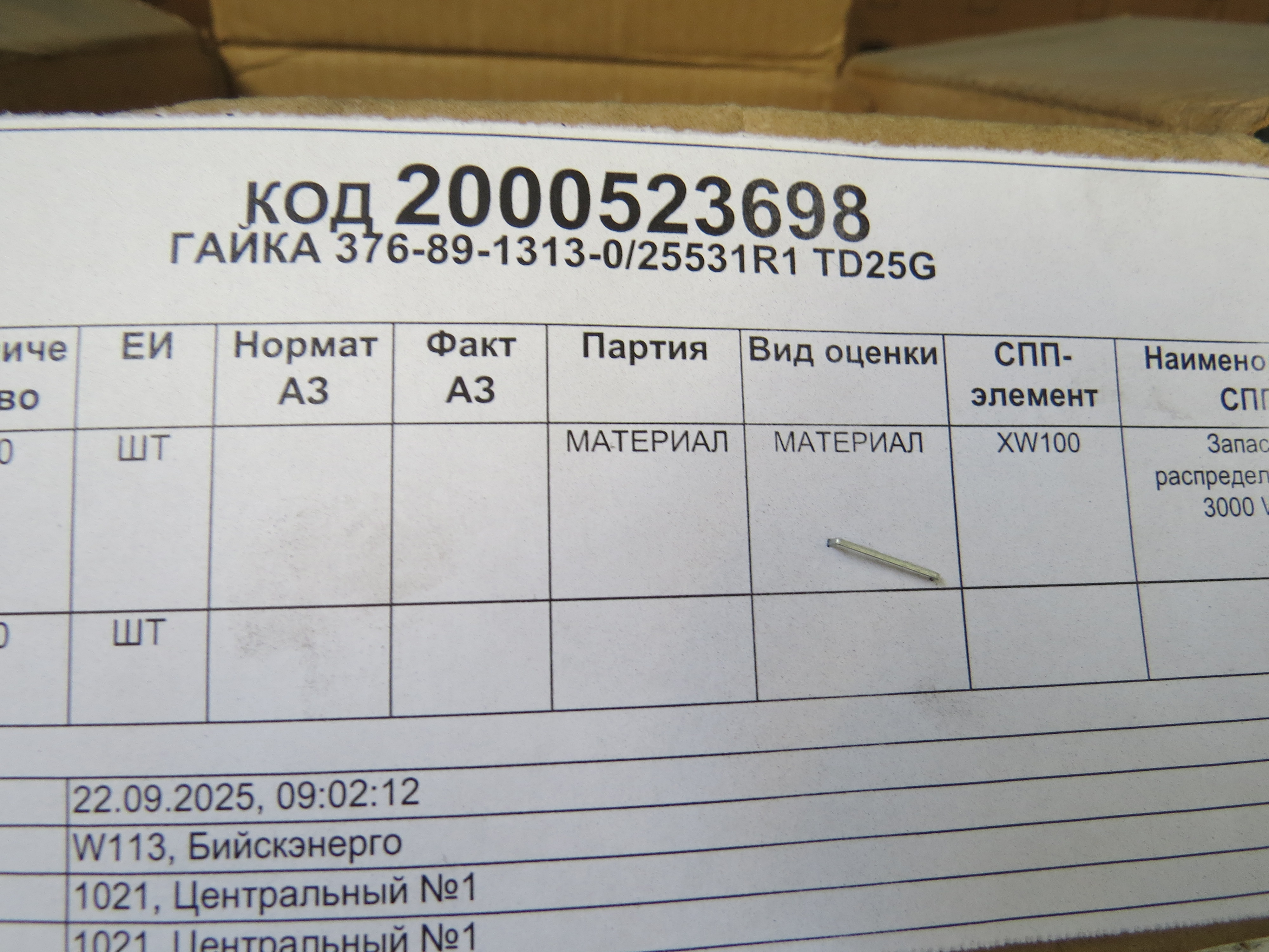 ГАЙКА 376-89-1313-0/25531R1